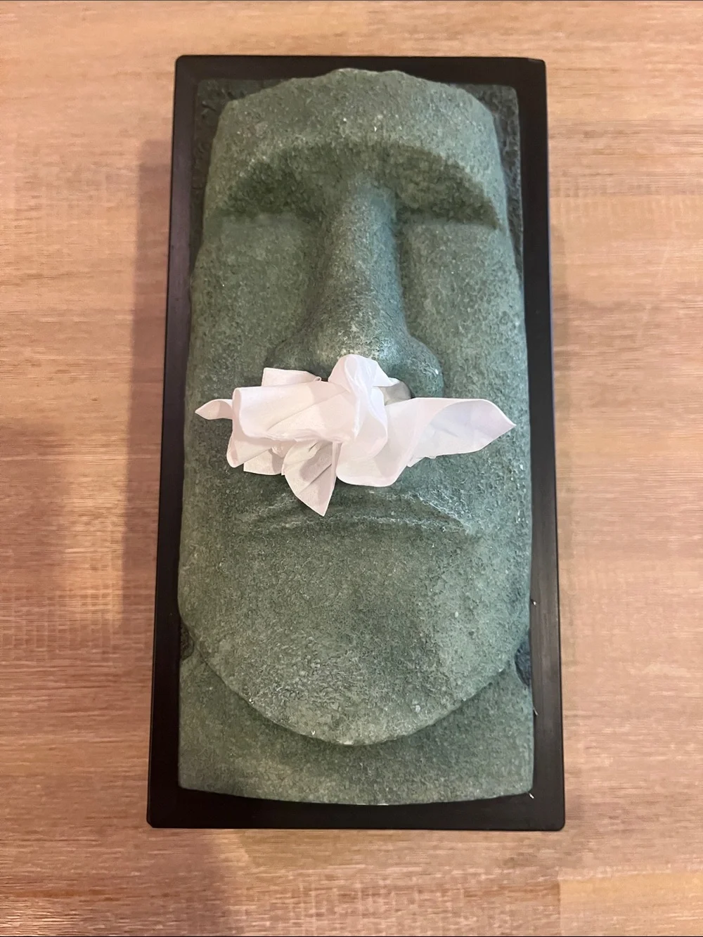 Rotary Hero Inc Stonehenge Tissue Box